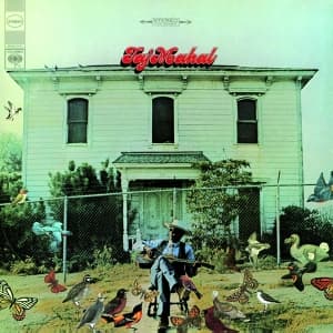 Taj Mahal - Taj Mahal (LP)