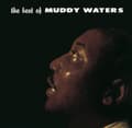Pikkukuva 1 / 2: Waters Muddy - Best Of Muddy Waters (LP)
