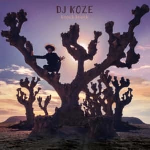 Dj Koze - Knock Knock (LP)
