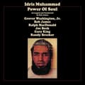 Pikkukuva 1 / 2: Idris Muhammad - Power Of Soul (LP)
