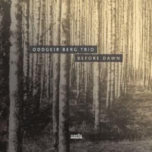 Berg Oddgeir (Trio) - Before Dawn (LP)