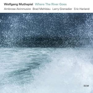 Muthspiel Wolfgang - Where The River Goes (Lp) (LP)