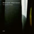 Miniatyrbillede 1 af 2: Turner Mark Iverson Ethan - Temporary Kings (Lp) (LP)