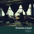 Miniatyrbild 2 av 2: Lloyd Charles - Voice In The Night (2 Lp) (LP)