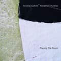 Pikkukuva 2 / 2: Cohen Avishai Avishai Yonathan - Playing The Room (Lp) (LP)