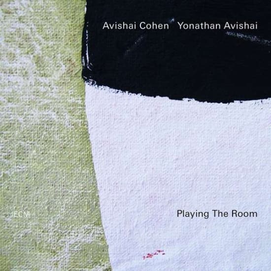 Cohen Avishai Avishai Yonathan - Playing The Room (Lp) (LP)