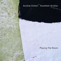 Pikkukuva 1 / 2: Cohen Avishai Avishai Yonathan - Playing The Room (Lp) (LP)