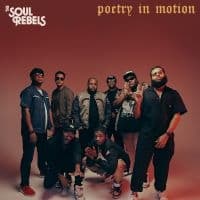Soul Rebels The - Poetry In Motion (Yellow Swirl Or R (LP)