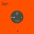 Miniatyrbillede 1 af 2: The Gondwana Orchestra (Feat. Dwigh - Colors (LP)