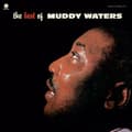 Miniatyrbild 1 av 2: Muddy Waters - Best Of (LP)