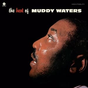 Muddy Waters - Best Of (LP)