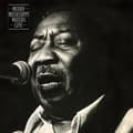 Miniatyrbilde 1 av 2: Muddy Waters - Muddy 'Mississippi' Live (LP)