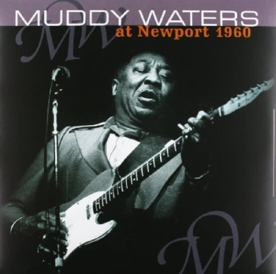 Muddy Waters - At Newport 1960/ Muddy Waters Sings Big Bill (LP)