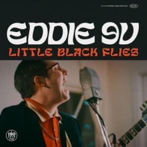 Eddie 9V - Little Black Flies (LP)