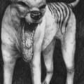 Miniatyrbilde 1 av 2: Orochen - Thylacine (Vinylsingle)