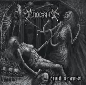 Endezzma - Erotik Nekrosis (LP)