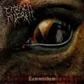 Miniatyrbild 1 av 2: Carach Angren - Lammendam (2 Vinyl Lp) (LP)