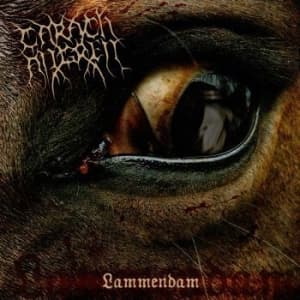 Carach Angren - Lammendam (2 Vinyl Lp) (LP)