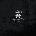 Pikkukuva 1 / 2: Liljor - Skymningsstund (LP)