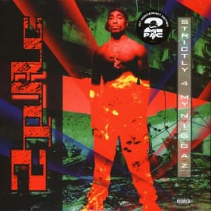 2Pac - Strictly 4 My N.I.G.G.A.Z. (2Lp) (LP)