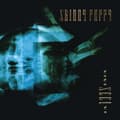 Pikkukuva 1 / 2: Skinny Puppy - Vivi Sect Vi (LP)