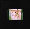 Pikkukuva 2 / 2: Orrick Chris & The Lasso - I Read That I Was Dead (LP)