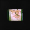 Pikkukuva 1 / 2: Orrick Chris & The Lasso - I Read That I Was Dead (LP)