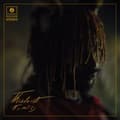 Miniatyrbillede 1 af 2: Thundercat - It Is What It Is (Deluxe Clear Viny (LP)