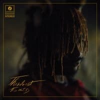 Thundercat - It Is What It Is (Deluxe Clear Viny (LP)