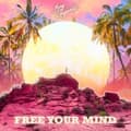 Pikkukuva 1 / 2: Big Gigantic - Free Your Mind (LP)