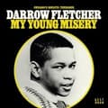 Miniatyrbillede 1 af 2: Fletcher Darrow - My Young Misery (LP)