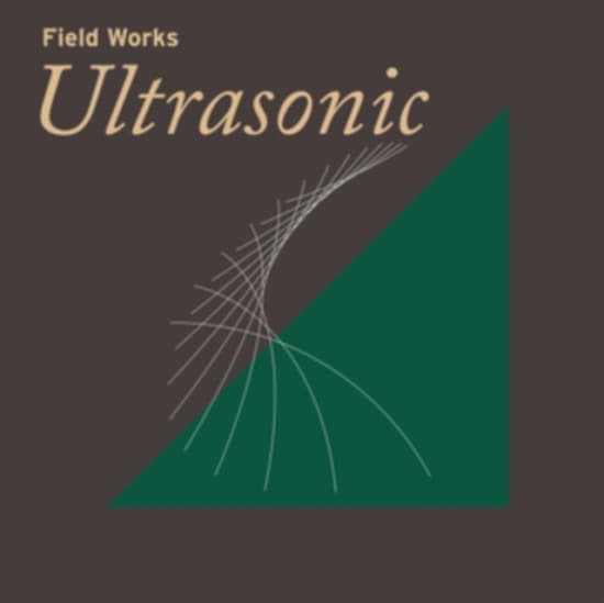 Blandade Artister - Field Works: Ultrasonic (LP)