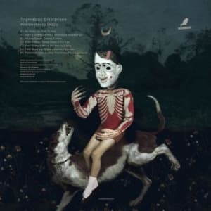 Tripmastaz - Andrewsheeny Skazki (LP)