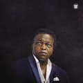 Miniatyrbillede 1 af 2: Lee Fields & The Expressions - Big Crown Vaults Vol. 1 - Lee Field (LP)