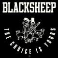 Pikkukuva 2 / 2: Black Sheep - Choice Is Yours (Maxisingle)