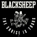 Pikkukuva 1 / 2: Black Sheep - Choice Is Yours (Maxisingle)