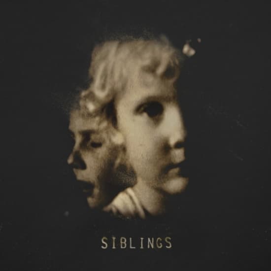 Alex Somers - Siblings (2Lp) (LP)
