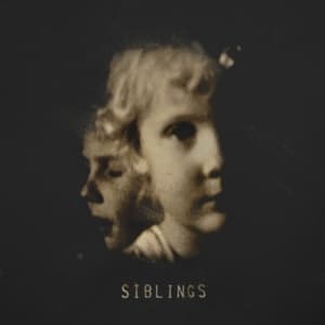 Alex Somers - Siblings (2Lp) (LP)