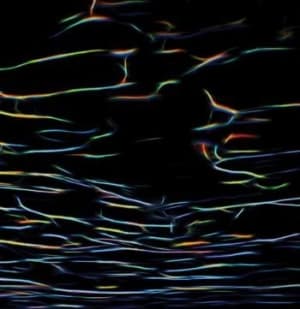 Porter Ricks - Biokinetics (LP)