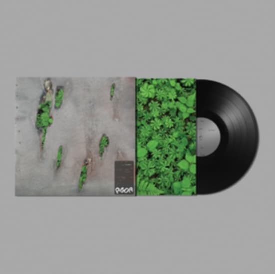 Koreless - Agor (LP)