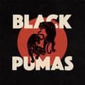 Pikkukuva 1 / 2: Black Pumas - BLACK PUMAS (CREAM VINYL) (LP)