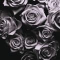 Miniatyrbillede 1 af 2: Zomby - With Love (LP)
