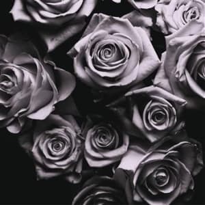 Zomby - With Love (LP)