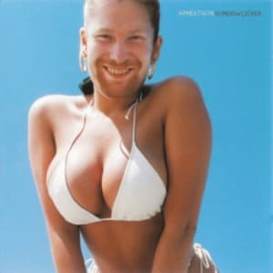 Aphex Twin - Windowlicker (Maxisingle)