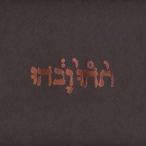 Godspeed You! Black Emperor - Slow Riot For A New Zero Kanada (LP)