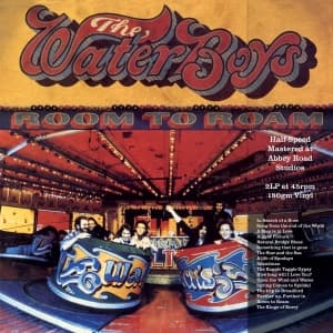 The Waterboys - Room To Roam (LP)