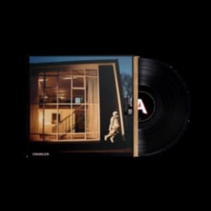 Idles - Crawler (LP)