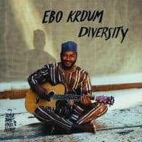 Krdum Ebo - Diversity (LP)
