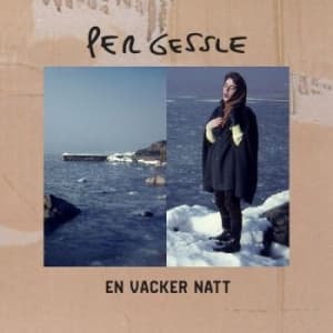 Gessle Per - En Vacker Natt (LP)