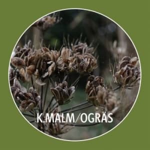 K.Malm - Ogräs (LP)